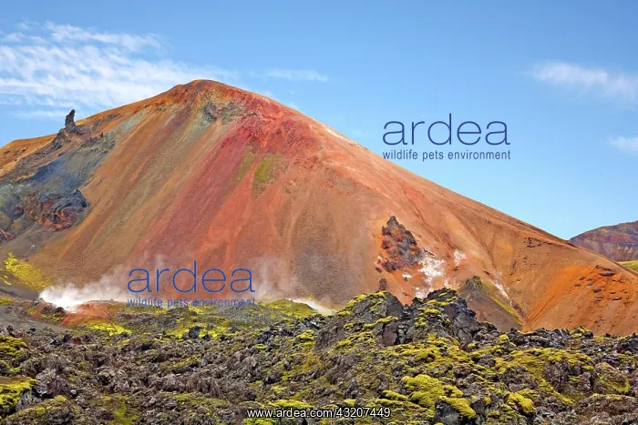 : Colourful highlands in Landmannalaugar, Iceland : Colourful highlands in Landmannalaugar, Iceland