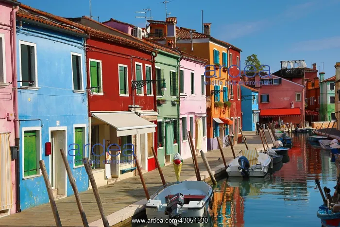 : Colourful houses on the island of Burano, Venetian : Colourful houses on the island of Burano, Venetian