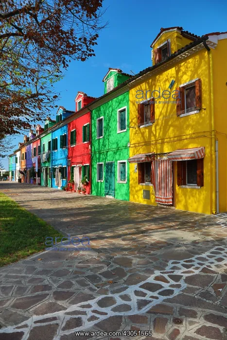 : Colourful houses on the island of Burano, Venetian : Colourful houses on the island of Burano, Venetian