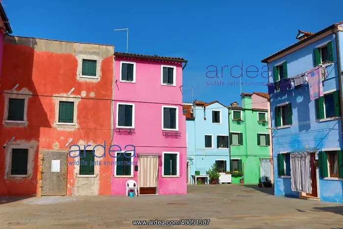 : Colourful houses on the island of Burano, Venetian : Colourful houses on the island of Burano, Venetian