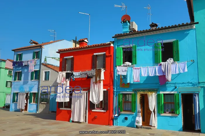 : Colourful houses on the island of Burano, Venetian : Colourful houses on the island of Burano, Venetian