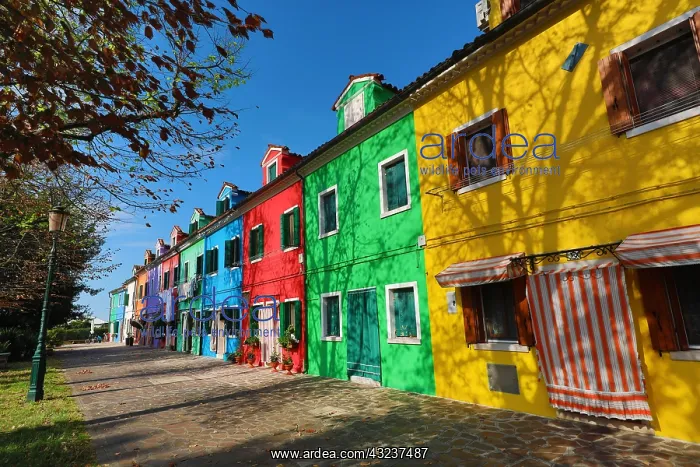 : Colourful houses on the island of Burano, Venetian : Colourful houses on the island of Burano, Venetian