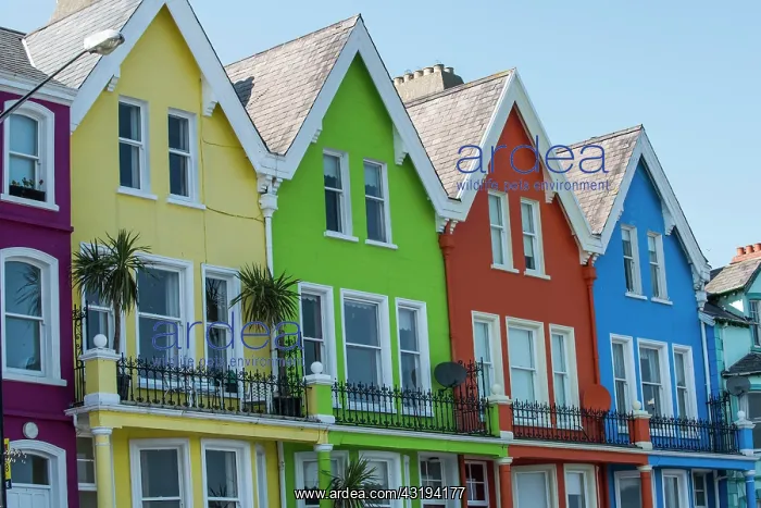 : Colourful houses at the promenade of Whitehead : Colourful houses at the promenade of Whitehead