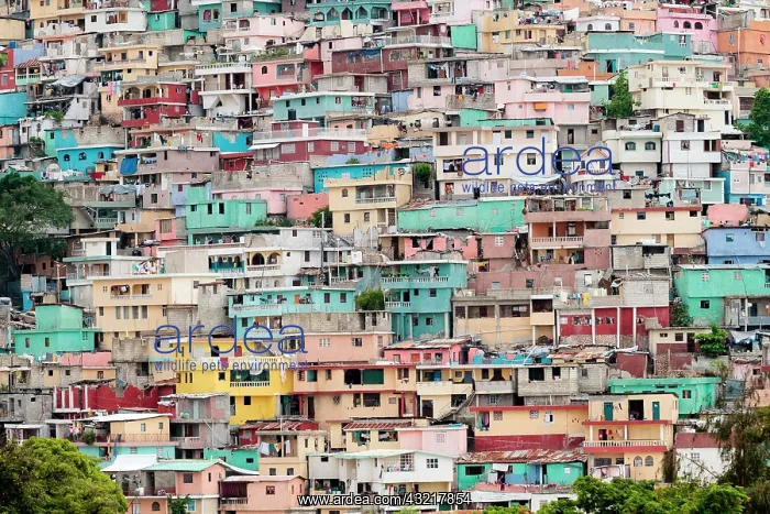 : Colourful houses, slum Jalousie, P&, x9d29;onville : Colourful houses, slum Jalousie, P&, x9d29;onville