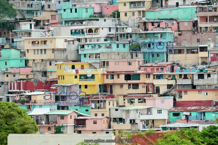 : Colourful houses, slum Jalousie, P&, x9d29;onville : Colourful houses, slum Jalousie, P&, x9d29;onville