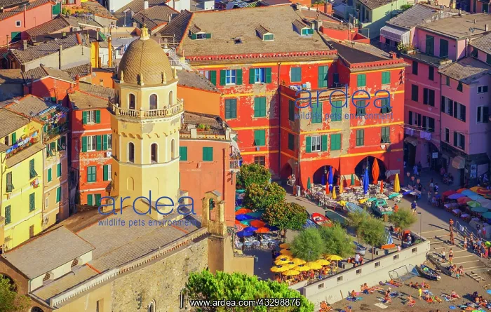 : Colourful houses, Vernazza, Cinque Terre, Liguria : Colourful houses, Vernazza, Cinque Terre, Liguria