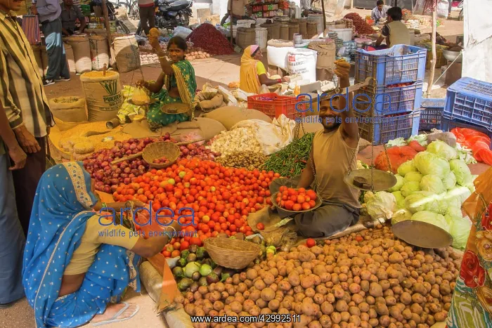 : Colourful market in Kanha : Colourful market in Kanha