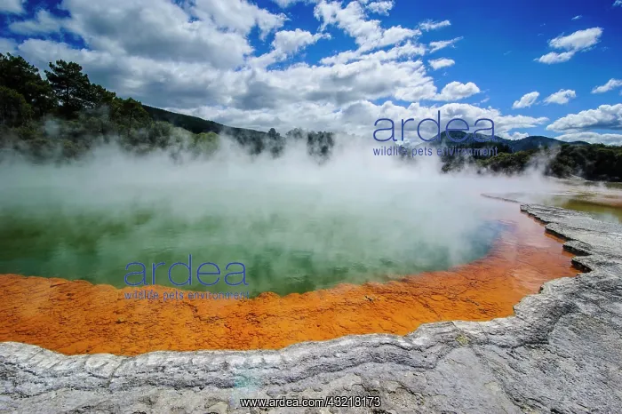 : The colourful multi hued champagne pool, Wai-O-Tapu : The colourful multi hued champagne pool, Wai-O-Tapu