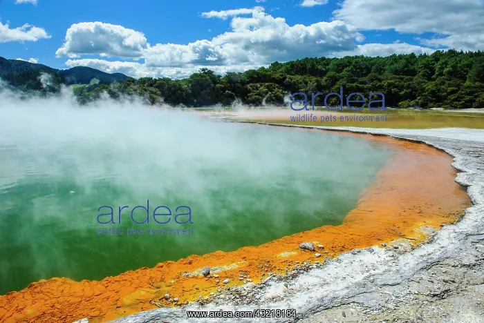 : The colourful multi hued champagne pool, Wai-O-Tapu : The colourful multi hued champagne pool, Wai-O-Tapu
