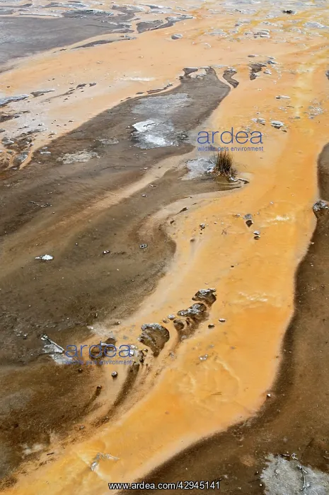 : Colourful run offs from thermal activity - Old Faithful area : Colourful run offs from thermal activity - Old Faithful area