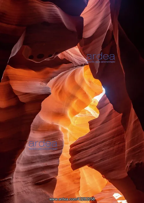 : Colourful sandstone formation, incident light, Lower : Colourful sandstone formation, incident light, Lower