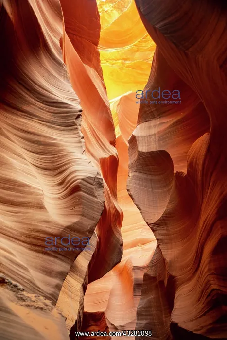 : Colourful sandstone formation, incident light, Lower : Colourful sandstone formation, incident light, Lower