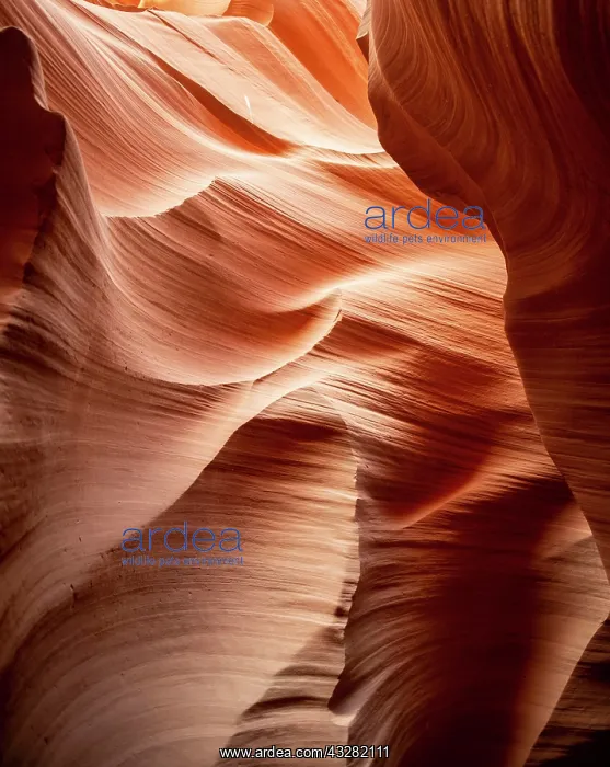 : Colourful sandstone formation, incident light, Lower : Colourful sandstone formation, incident light, Lower