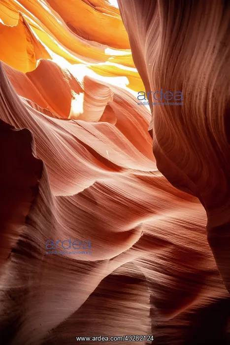 : Colourful sandstone formation, incident light, Lower : Colourful sandstone formation, incident light, Lower