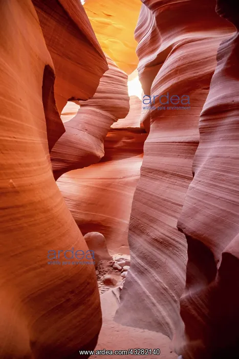 : Colourful sandstone formation, incident light, Lower : Colourful sandstone formation, incident light, Lower