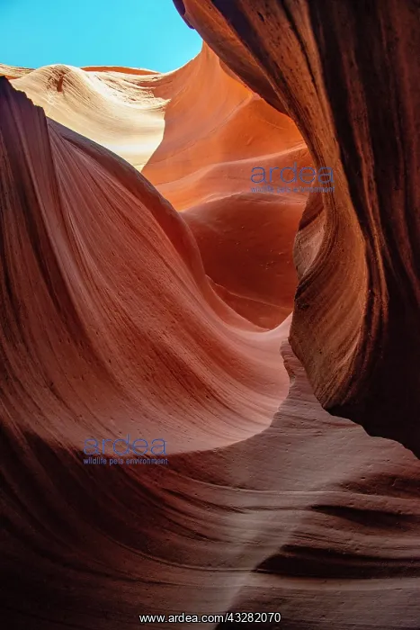 : Colourful sandstone formations, Lower Antelope Canyon : Colourful sandstone formations, Lower Antelope Canyon