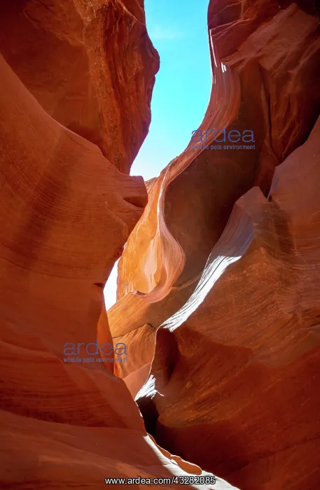 : Colourful sandstone formations, Lower Antelope Canyon : Colourful sandstone formations, Lower Antelope Canyon