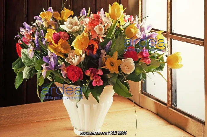 : Colourful spring bouquet in a vase in front of a : Colourful spring bouquet in a vase in front of a