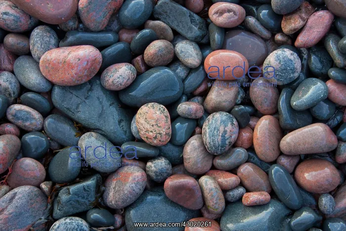  : Colourful Stones at the beach