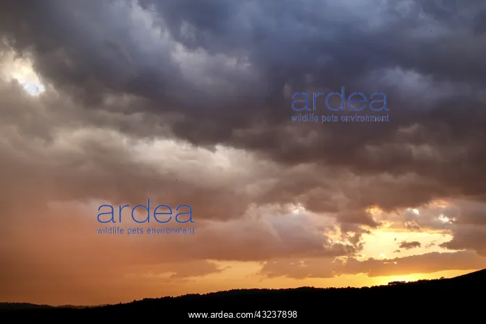 : Colourful sunset - Allariz, Galicia, Spain : Colourful sunset - Allariz, Galicia, Spain