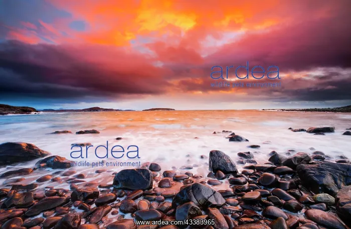 : Colourful sunset on a stone beach near Achiltibuie : Colourful sunset on a stone beach near Achiltibuie