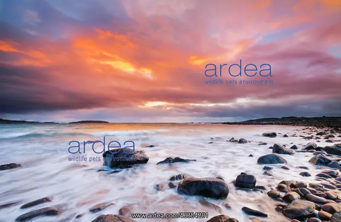 : Colourful sunset on a stone beach near Achiltibuie on the we : Colourful sunset on a stone beach near Achiltibuie on the we