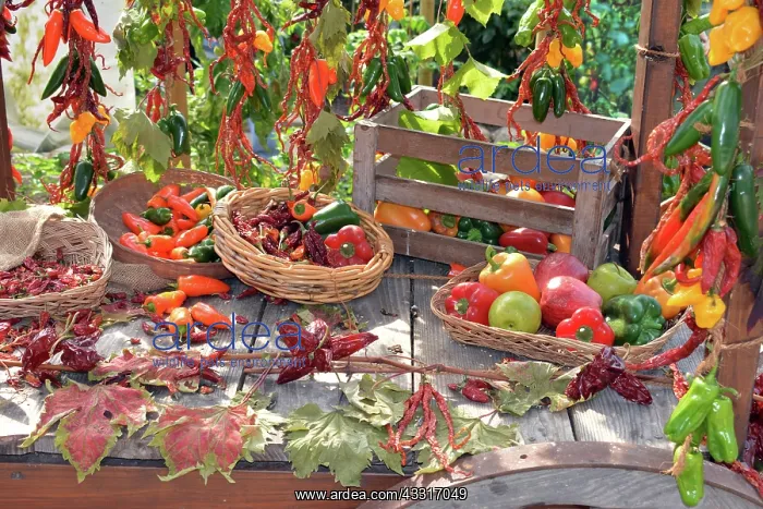 : Colourful vegetables / fruits, mostly peppers : Colourful vegetables / fruits, mostly peppers