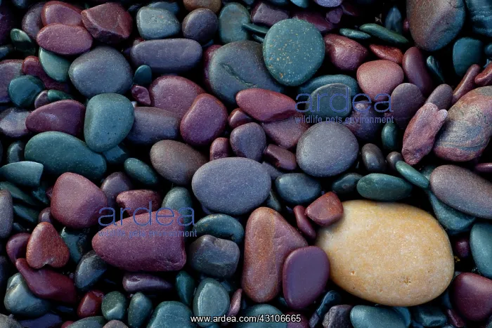 : A colourfull colletion of stones : A colourfull colletion of stones