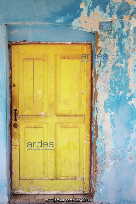 : Colours, shapes and textures at the decayed facade : Colours, shapes and textures at the decayed facade