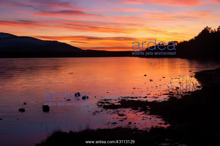 : The colours of sunset are reflected in the frozen waters of : The colours of sunset are reflected in the frozen waters of