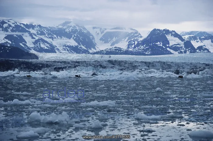 : Columbia Glacier : Columbia Glacier