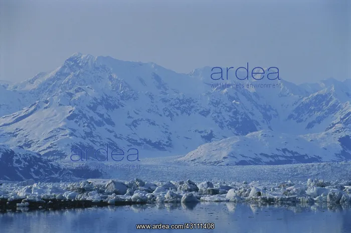 : Columbia Glacier : Columbia Glacier
