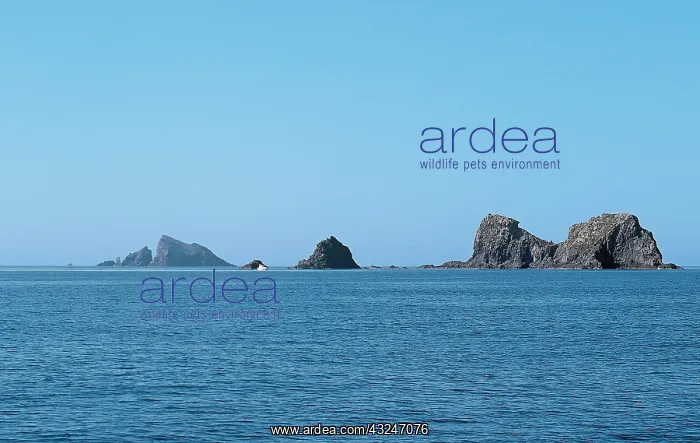 : Columbretes Island Natural Park. Protected : Columbretes Island Natural Park. Protected