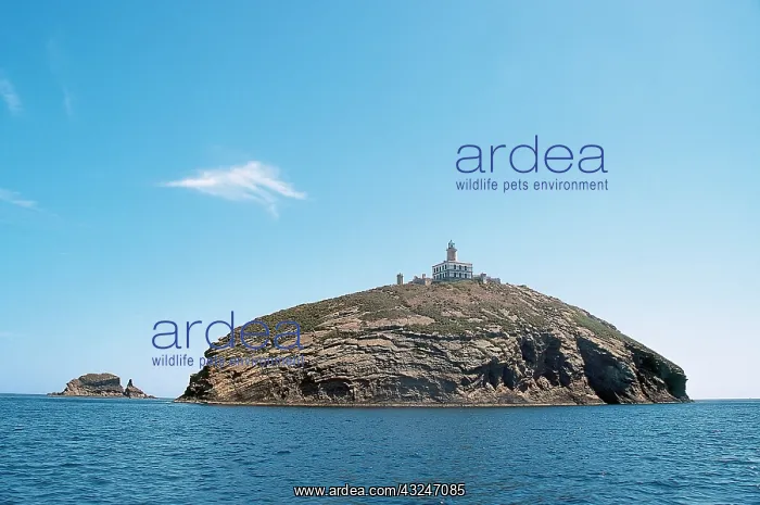 : Columbretes Island Natural Park. Protected : Columbretes Island Natural Park. Protected