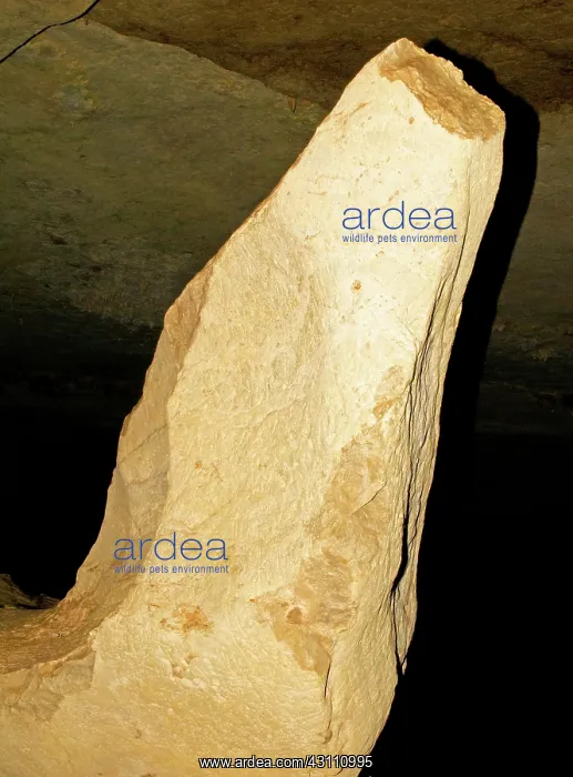  : Column Formation in Carlsbad Caverns