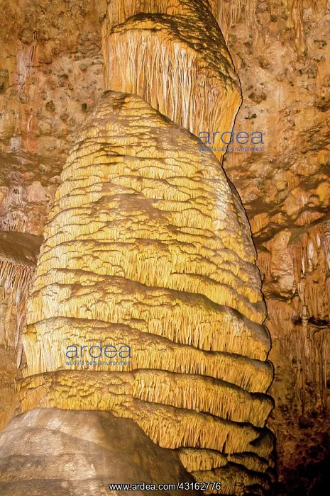 : Column Formation in Carlsbad Caverns : Column Formation in Carlsbad Caverns