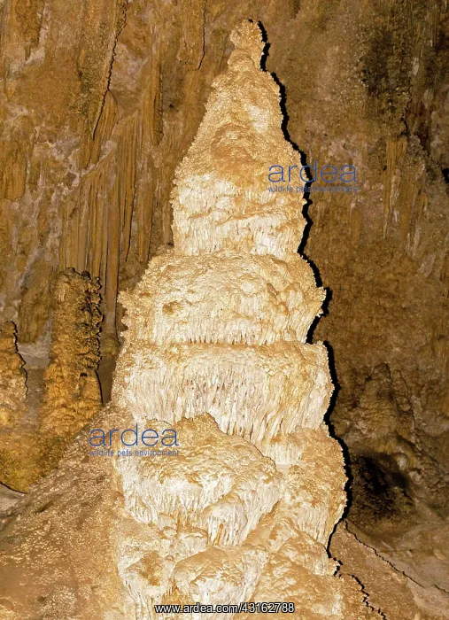 : Column Formation in Carlsbad Caverns : Column Formation in Carlsbad Caverns