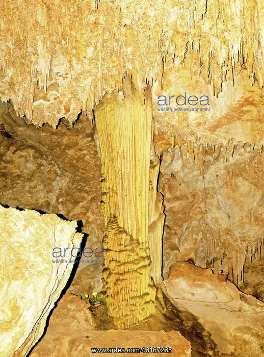 : Column Formation in Carlsbad Caverns : Column Formation in Carlsbad Caverns