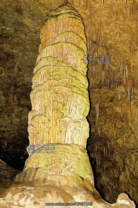  : Column Formation in Carlsbad Caverns