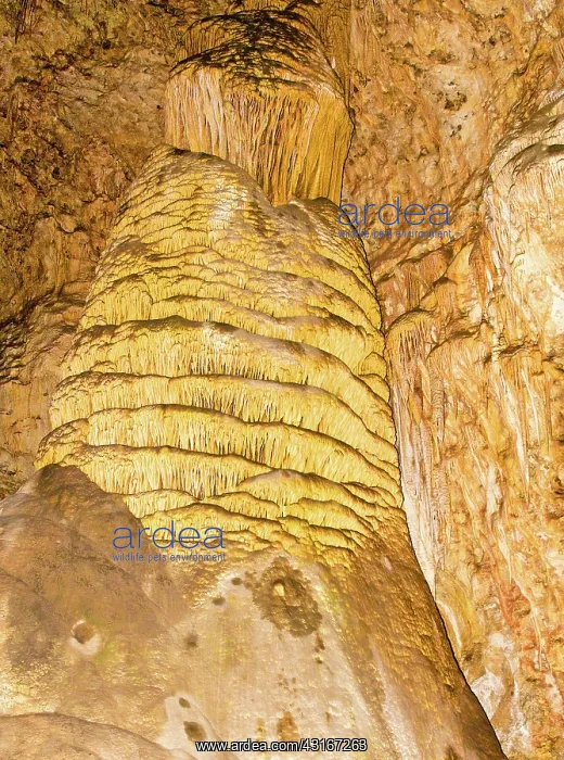  : Column Formation in Carlsbad Caverns