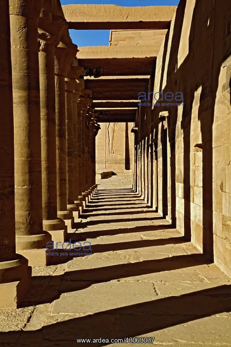 : Columns casting shadows, Temple of Philae : Columns casting shadows, Temple of Philae