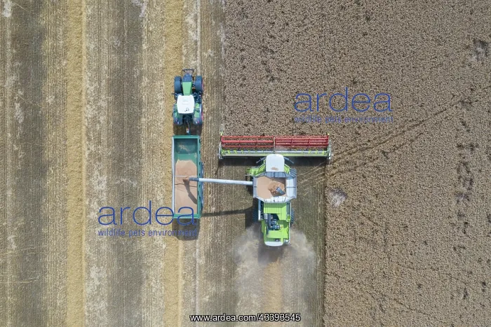 : Combine harvester : Combine harvester