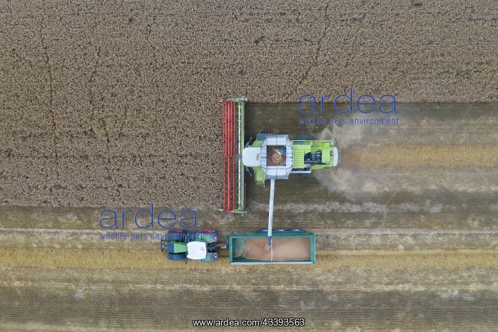 : Combine harvester : Combine harvester