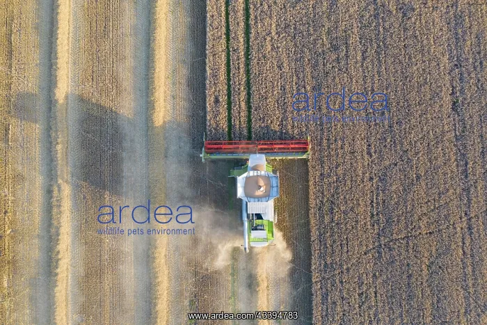 : Combine harvester : Combine harvester