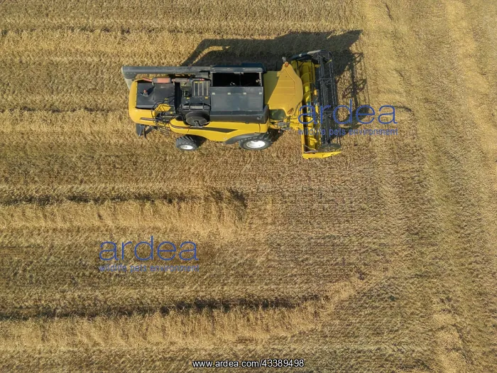 : Combine harvester parked in cornfield, Coljinsplaat : Combine harvester parked in cornfield, Coljinsplaat