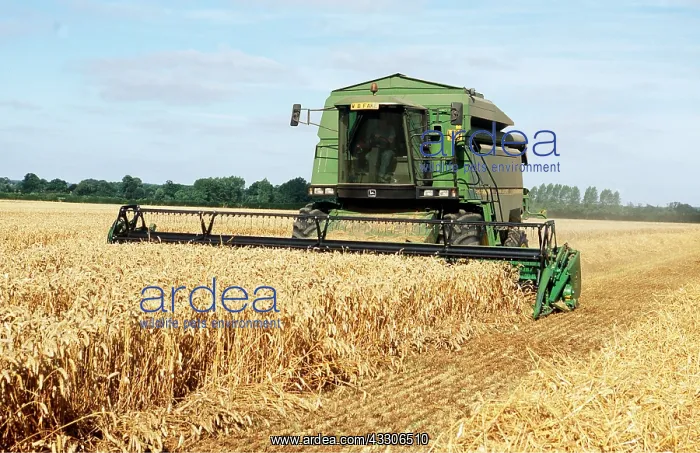 : COMBINE HARVESTING - FARMING : COMBINE HARVESTING - FARMING