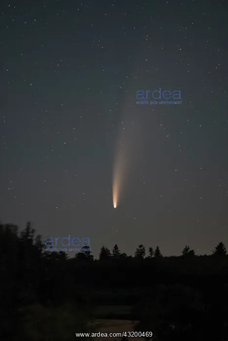 : Comet NEOWISE, July 2020 : Comet NEOWISE, July 2020