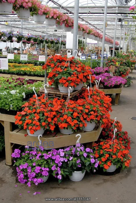 : Commercial Greenhouse : Commercial Greenhouse