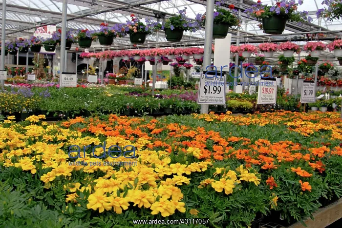 : Commercial Greenhouse : Commercial Greenhouse