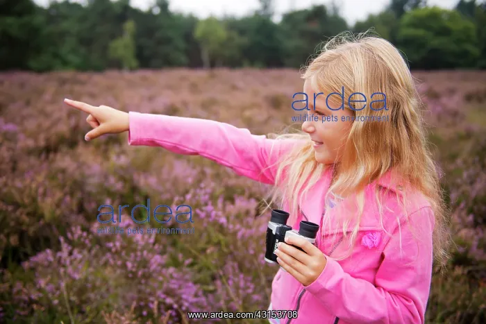  : Common Heather